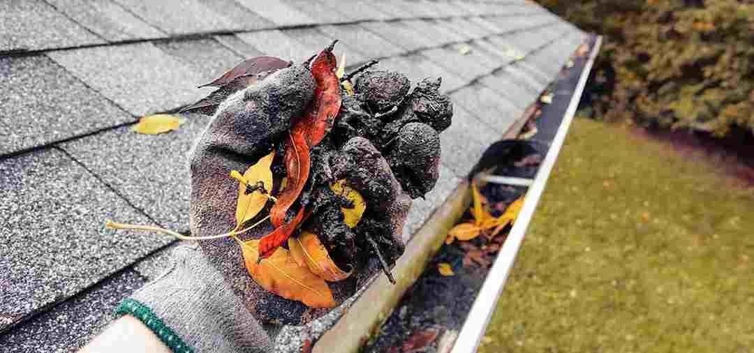 Professional gutter cleaning and eavestrough maintenance by Adam's Cleaning