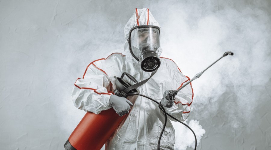 Mold inspection and remediation services by MoldTech